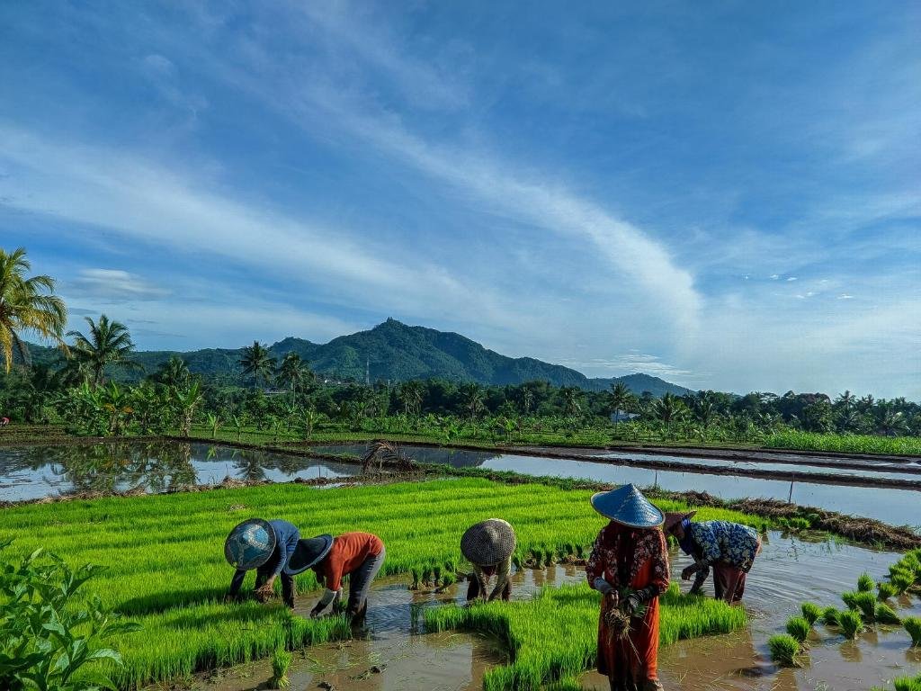 farm stay mananggel